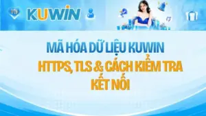 Mã Hóa Dữ Liệu KUWIN – HTTPS, TLS & Cách Kiểm Tra Kết Nối
